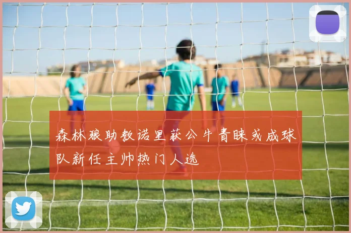 森林狼助教诺里获公牛青睐或成球队新任主帅热门人选