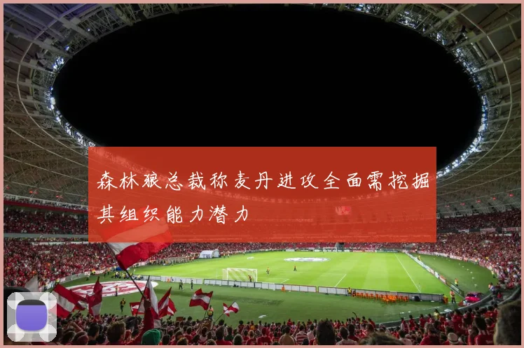 森林狼总裁称麦丹进攻全面需挖掘其组织能力潜力
