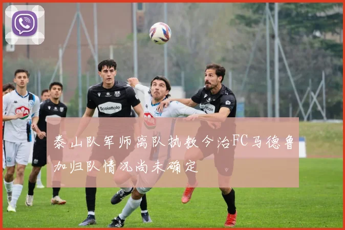 泰山队军师离队执教今治FC马德鲁加归队情况尚未确定